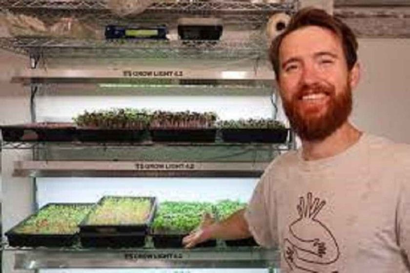 How To Sell Microgreens To Restaurants