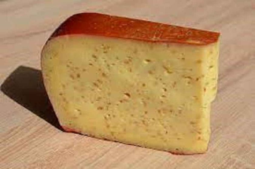 Where Can I Buy Leyden Cheese?