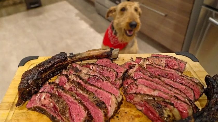 how to cook steak for a dog
