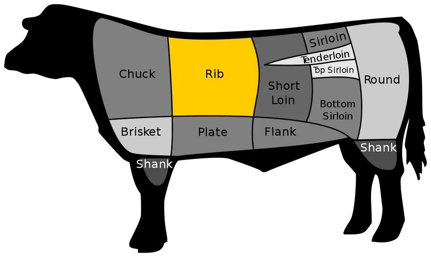 is a rib steak the same as a ribeye
