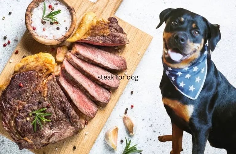 Steak good for outlet dogs