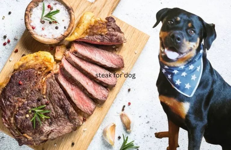 steak for dog 2