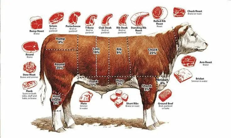 what animal does steak come from
