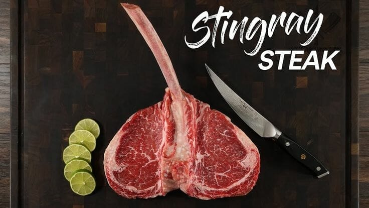 what is stingray steak
